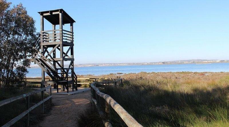 Apartamento Vistas La Mata Playa Екстер'єр фото